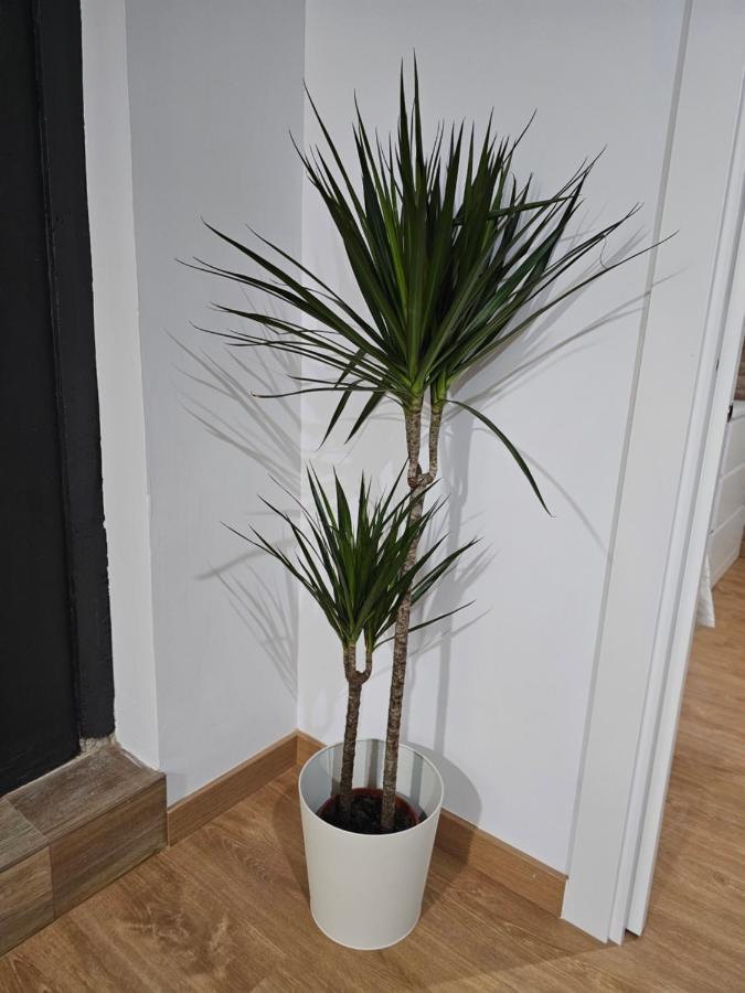 Permar Plz Appartement Barcelona Buitenkant foto